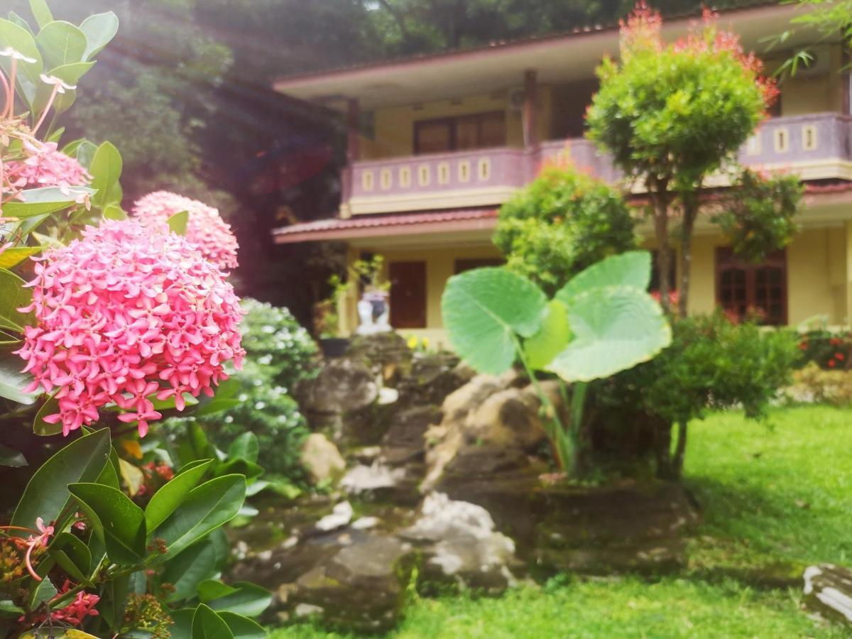 Wisma Leuser Sibayak บูกิตลาวัง ภายนอก รูปภาพ